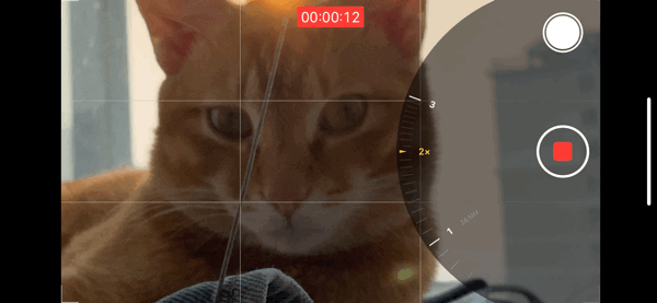 还没上学或复工？不如一起探索如何用iOS 13和无聊时光斗智斗勇