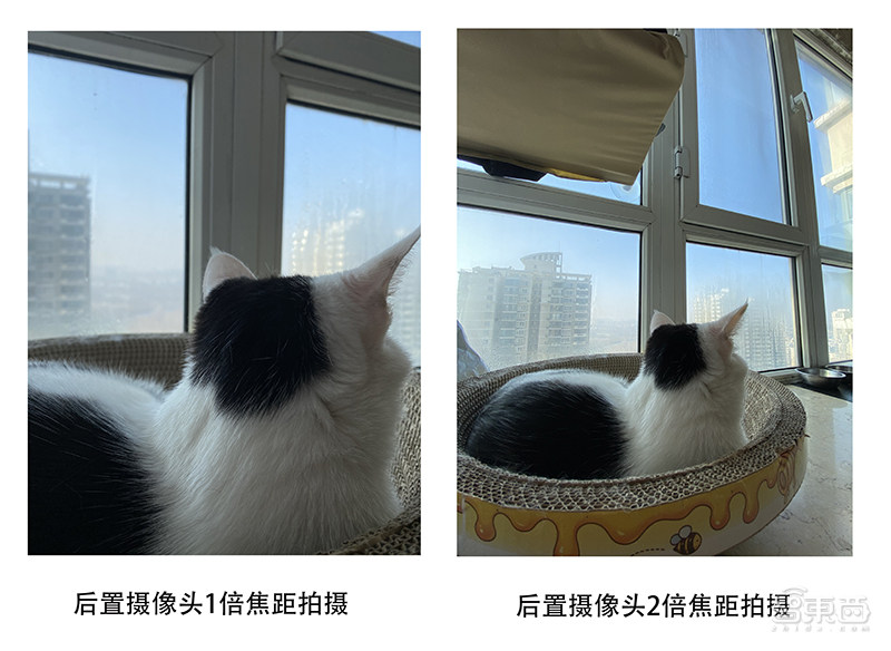 还没上学或复工？不如一起探索如何用iOS 13和无聊时光斗智斗勇