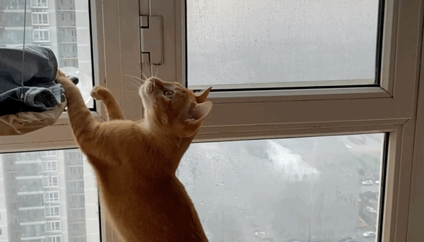 还没上学或复工？不如一起探索如何用iOS 13和无聊时光斗智斗勇