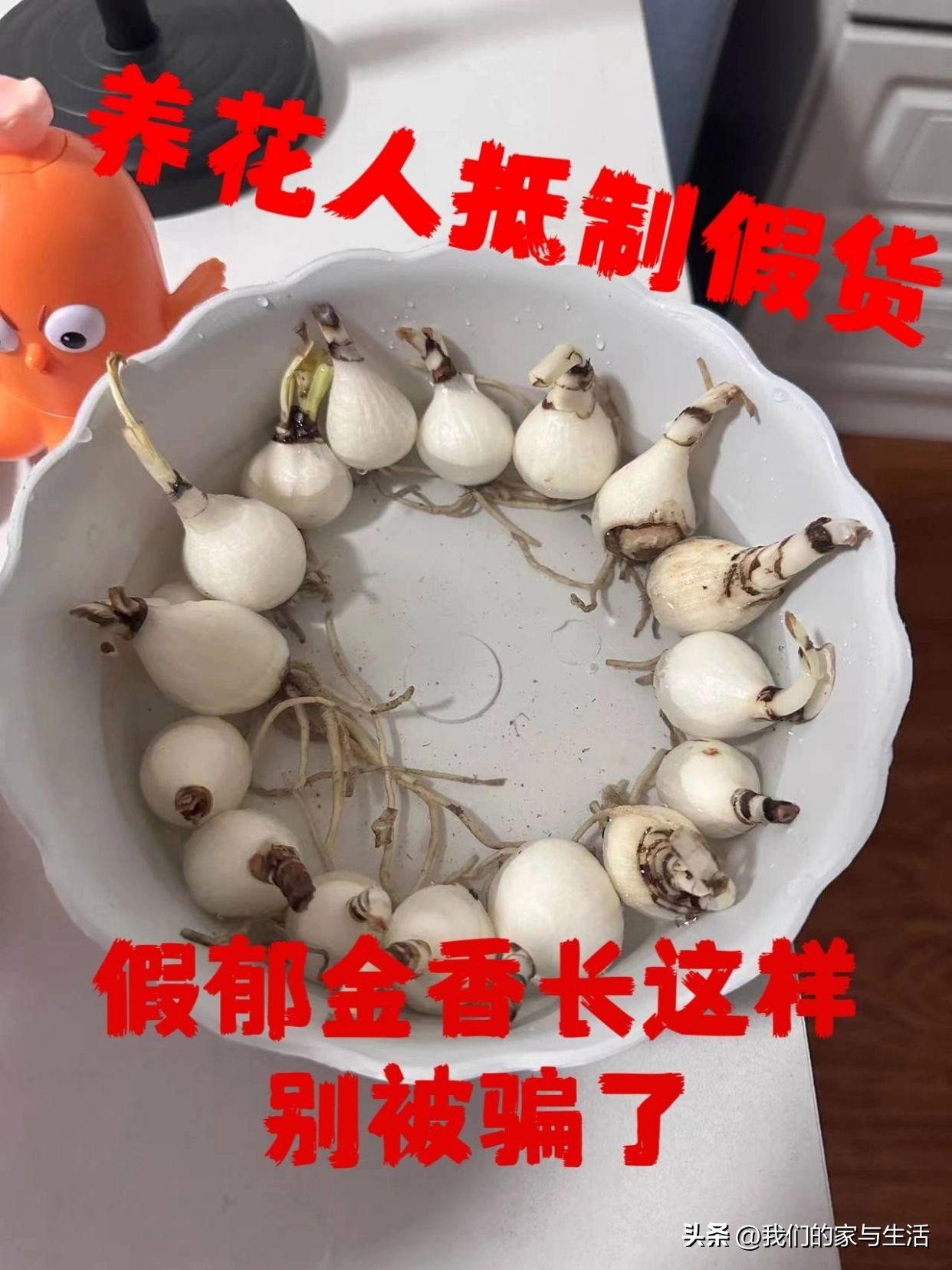 再没钱，也千万不要在网上买这4样“东西”，看完真得挺后怕的！