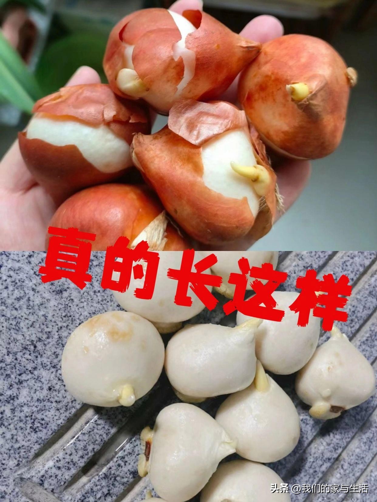 再没钱，也千万不要在网上买这4样“东西”，看完真得挺后怕的！