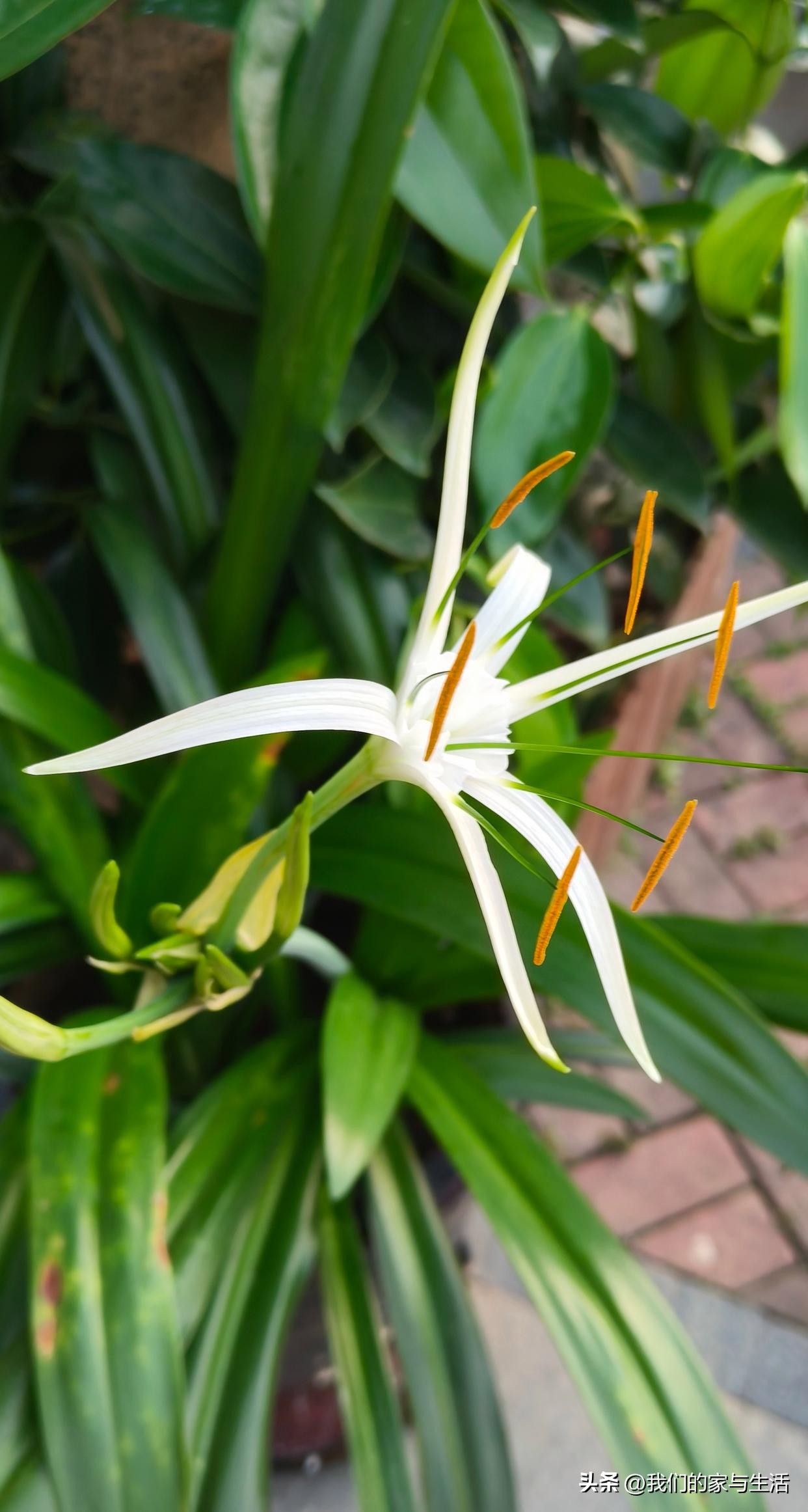 再没钱，也千万不要在网上买这4样“东西”，看完真得挺后怕的！