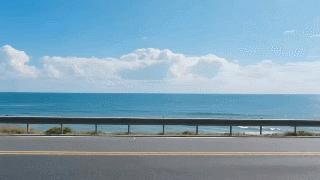 如何给视频加字幕?视频加字幕6款工具推荐