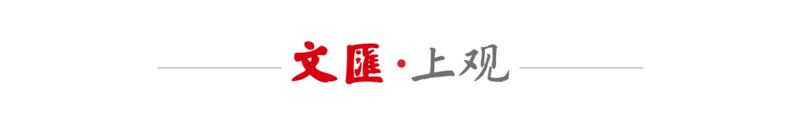 “黄马甲”换了个“马甲”？法国左右翼合流大规模抗议只为这个目标