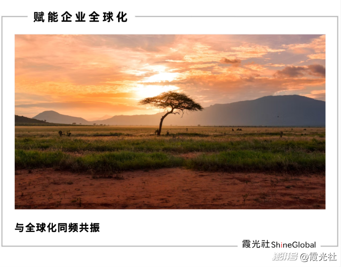 2025，毕业生 “卷” 向出海