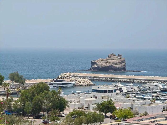 2025，毕业生 “卷” 向出海