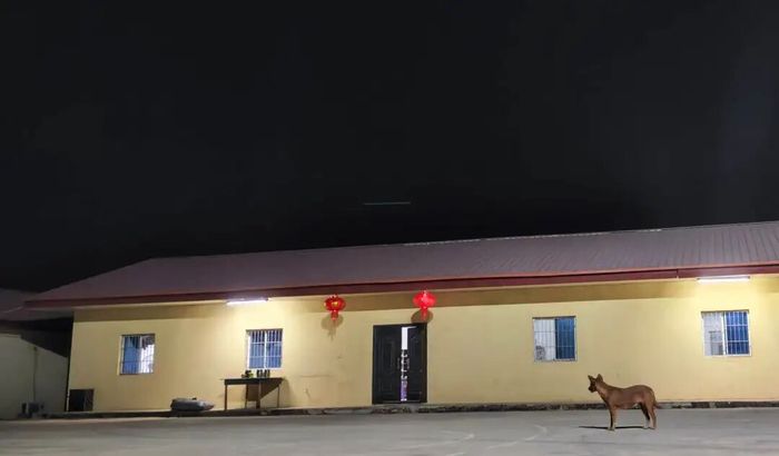 2025，毕业生 “卷” 向出海