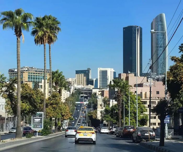 2025，毕业生 “卷” 向出海