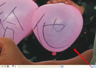 CorelDRAW官方正版