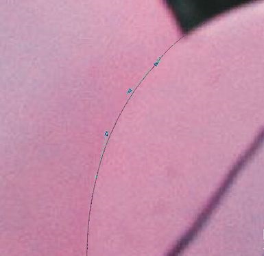 CorelDRAW官方正版