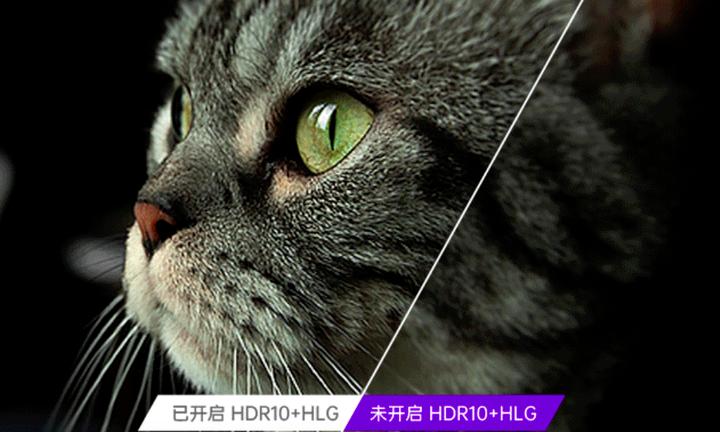 2021最新投影仪科普｜投影机选购避坑指南｜投影VS电视怎么选
