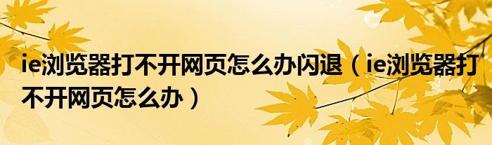 ie浏览器打不开网页怎么办闪退（ie浏览器打不开网页怎么办）