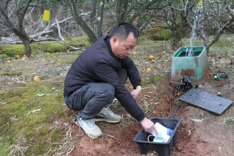 一刷卡就出水！龙泉驿农田灌溉“开”启智能模式