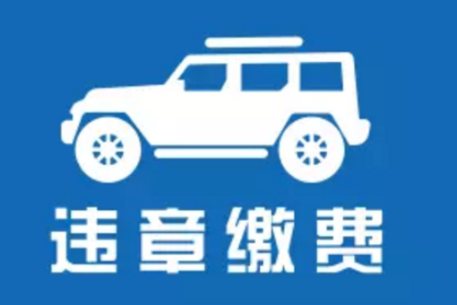 违章查询哪个软件最好用