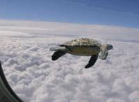 Win10做6项优化，不仅电脑变流畅，再用两三年都不是问题