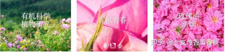 刚入门的小白怎么选择精油？（品质精油品牌大全）