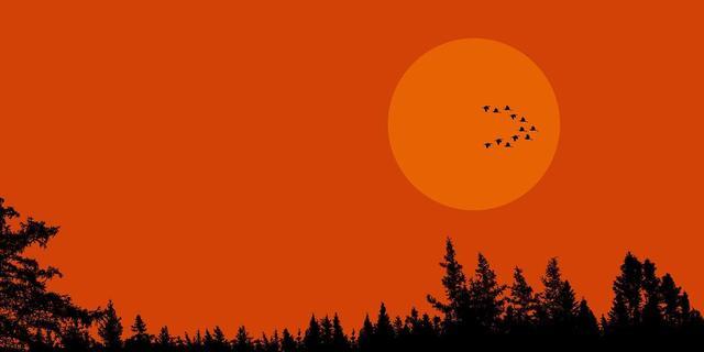 跟“真爱”在一起时，你会产生这5种强烈的感受