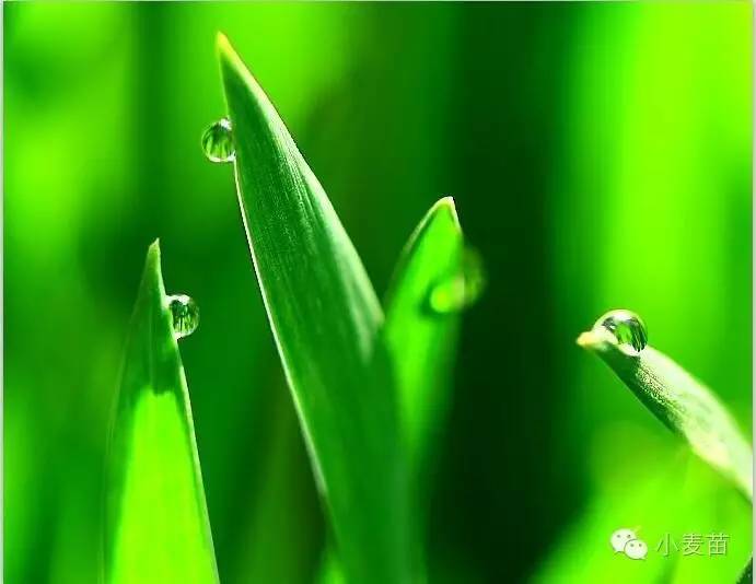 ps4如何重建数据库-开放搜索索引重建-ps4  多少带宽-手机站-阿里云