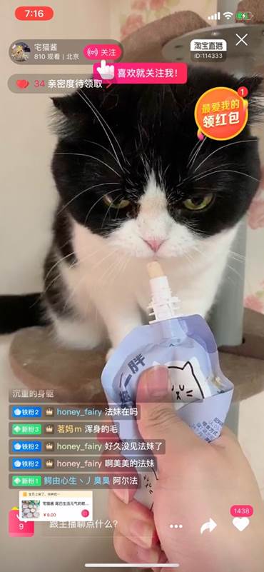 淘宝经济暖报：每天100万人在淘宝直播看宠物，猪最受欢迎
