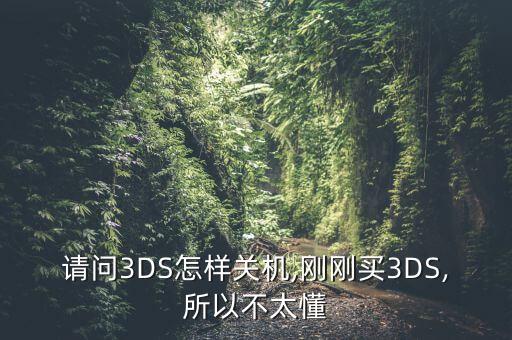 新3ds,老3ds和新3ds有什么区别?