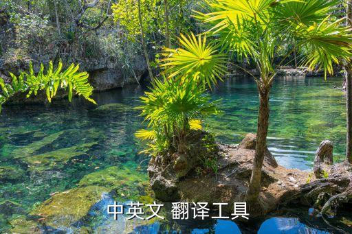 中英翻译软件,可以离线使用的中英翻译软件