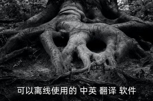 中英翻译软件,可以离线使用的中英翻译软件