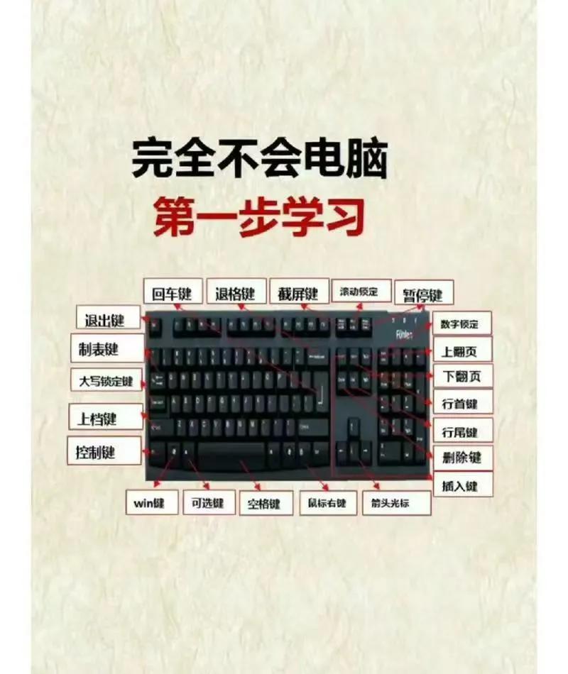 审视00后电脑基础知识缺失现象：成因与应对