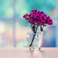 为何电脑的搜狗拼音输入法用不了,切换不出来