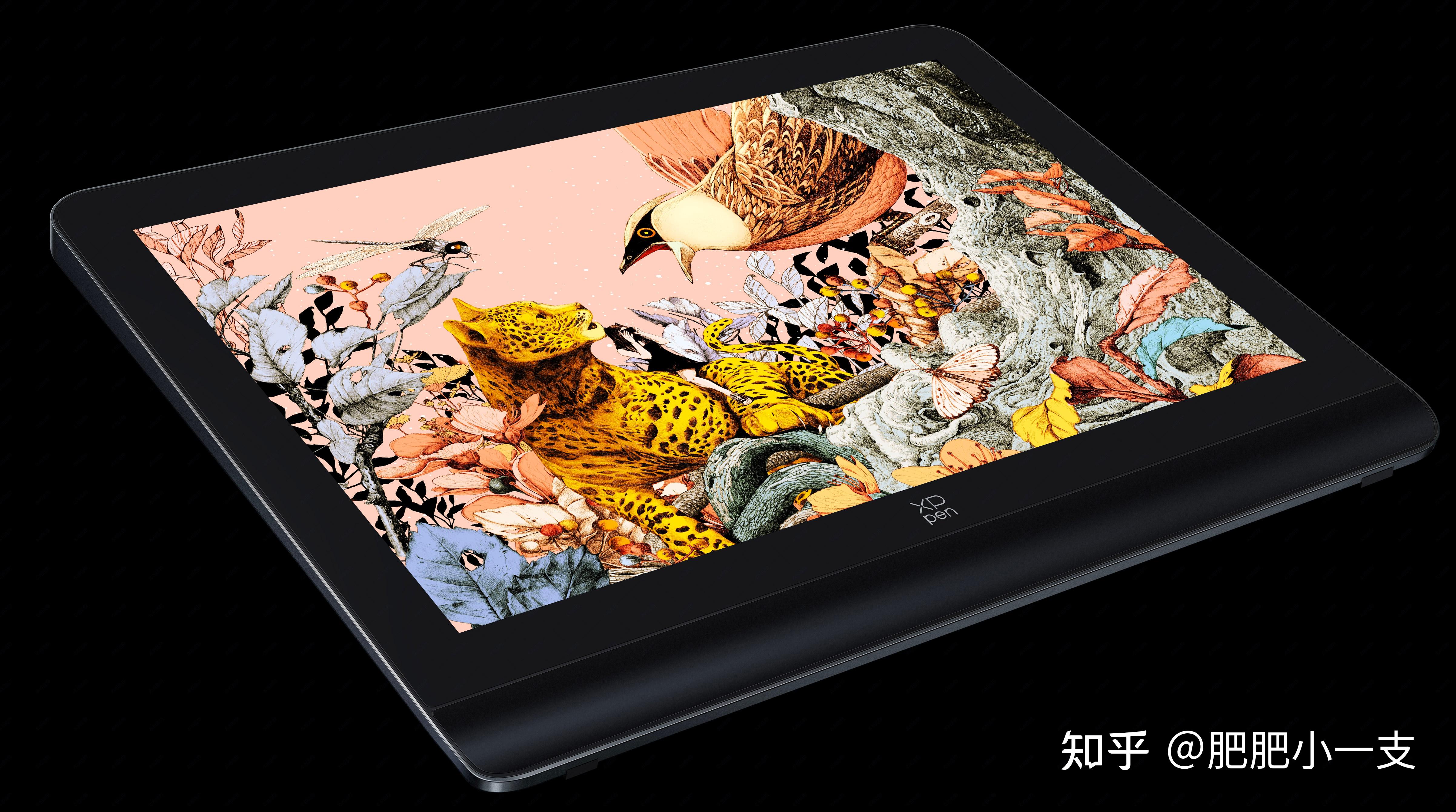 肥肥小一支：（2024年最新）手绘数位屏、数位板购买推荐指南，新手初学者看完不迷茫！