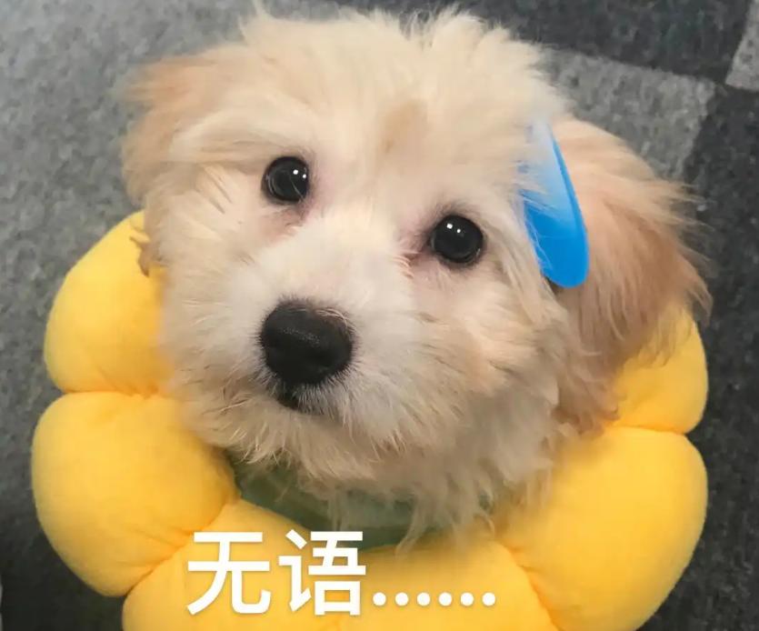 手滑关错网页别慌！浏览器自带 “后悔药”，1 秒找回消失的页面