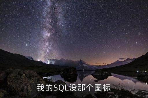 SQL软件图标，我的SQL没那个图标