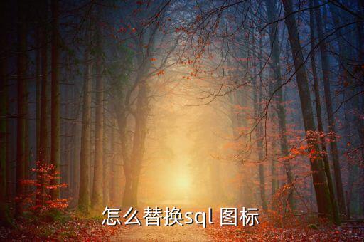 SQL软件图标，我的SQL没那个图标