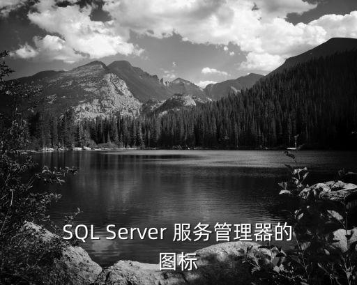 SQL软件图标，我的SQL没那个图标