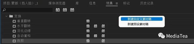 Pr 入门系列之六：添加视频效果