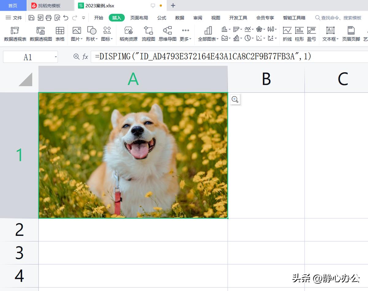 wps表格：将图片嵌入单元格中以便图片随单元格大小自动进行调整