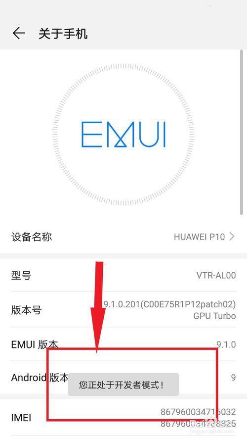 华为手机怎么打开开发者模式