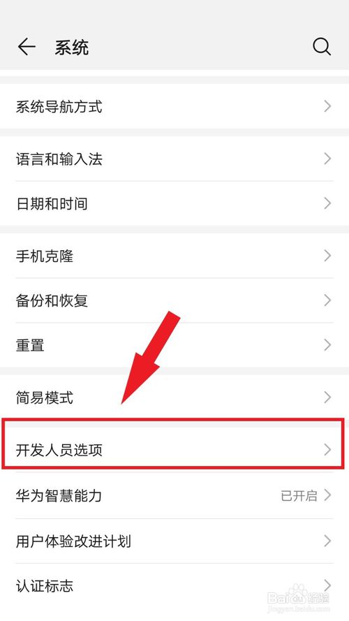 华为手机怎么打开开发者模式