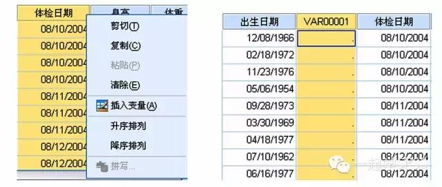 SPSS22：3.1.1 数据管理—插入变量