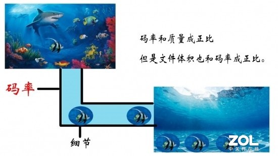 视频会员是个骗局？实测4K还没1080P清晰