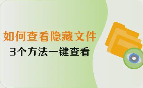 如何查看隐藏文件？3个方法一键查看