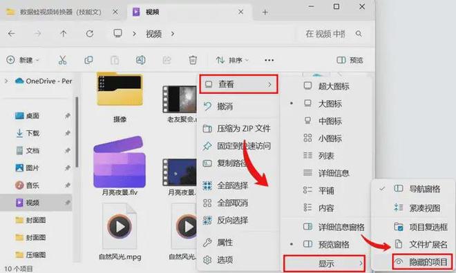 如何查看隐藏文件？3个方法一键查看