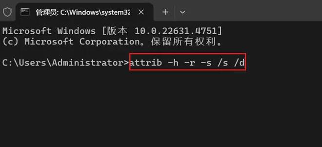 如何查看隐藏文件？3个方法一键查看