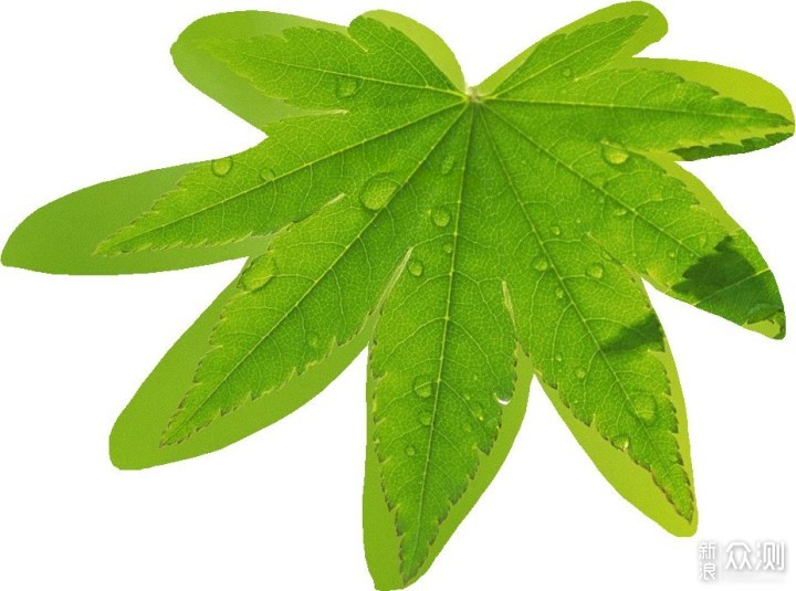 WIN10不好用?这些功能了解一下