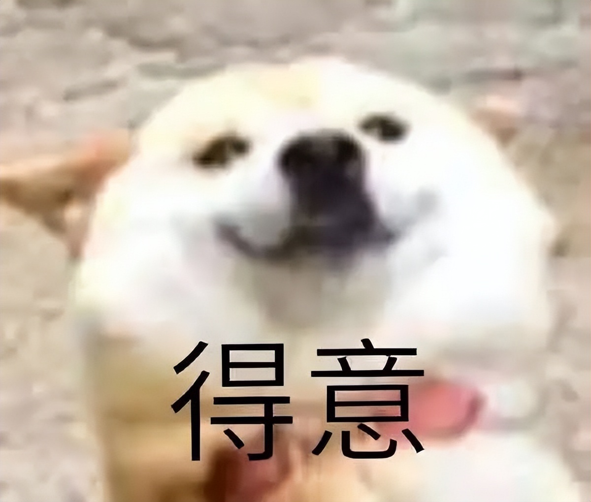 蛋蛋模拟器上线iOS！宝可梦 怪猎 马里奥 火焰纹章 星之卡比已亲测！