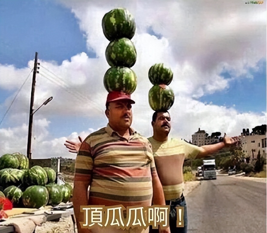 蛋蛋模拟器上线iOS！宝可梦 怪猎 马里奥 火焰纹章 星之卡比已亲测！