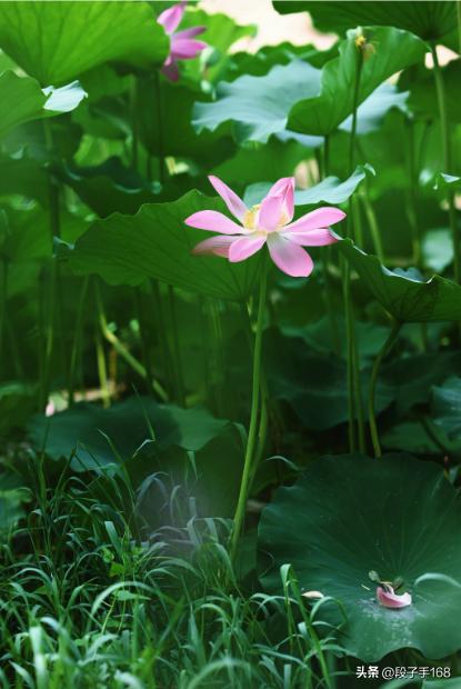 win11 连接共享打印机报错：0x00000040 或者 .709或者 .11b 解决方法