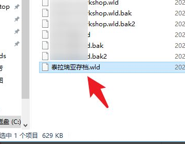 泰拉瑞亚地图在哪个文件夹里