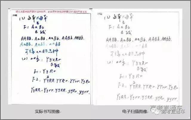 荐读 | 高考阅卷现场+电脑阅卷流程曝光，认真读完多拿100分！