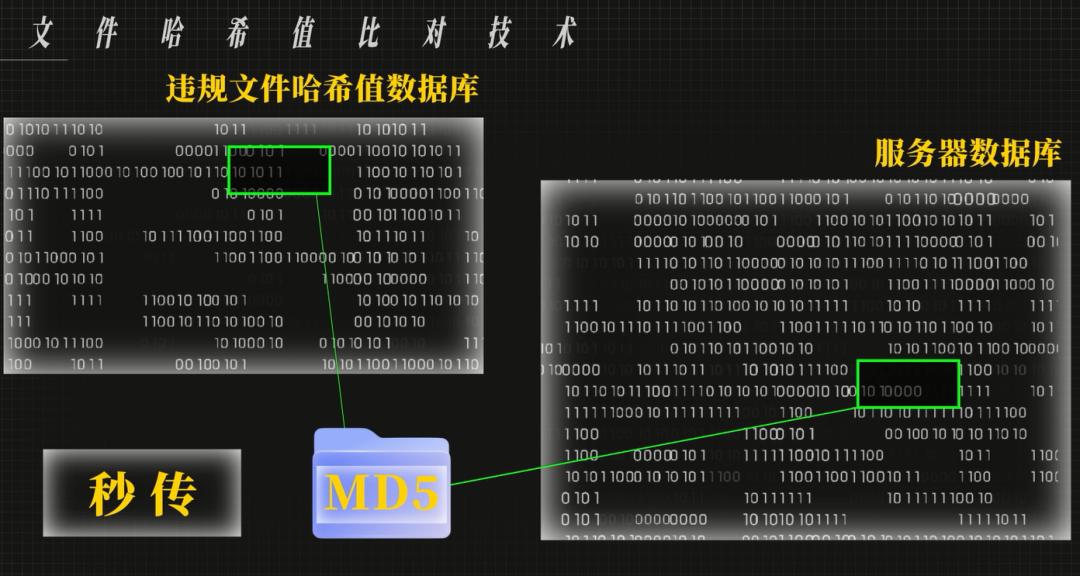 网盘，凭什么删我文件？