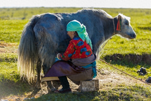 如何判断短线牛股的买卖点